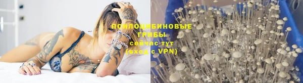 apvp Нягань